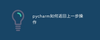 pycharm如何返回上一步操作