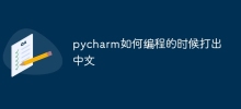 pycharm如何编程的时候打出中文