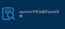 pycharm中怎麼運行ipynb文件