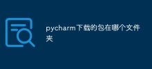 In which folder is the package downloaded by pycharm