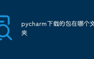 pycharm下載的套件在哪個資料夾