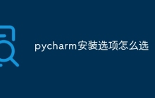 pycharm安装选项怎么选