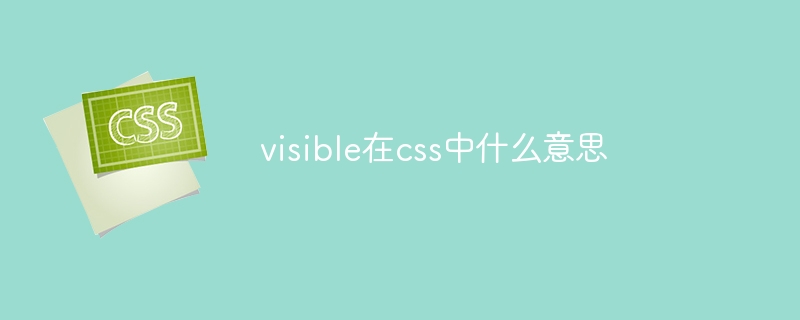 What does visible mean in css