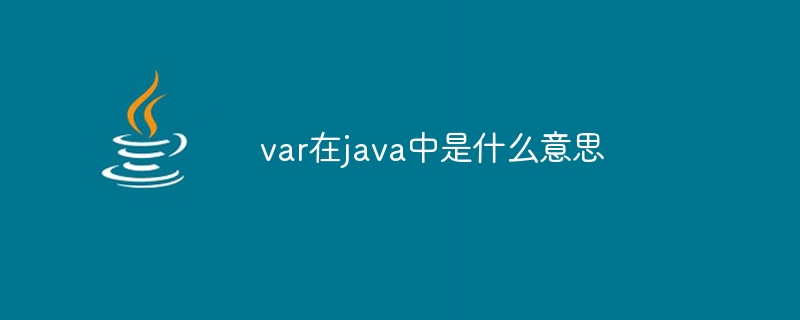 What does var mean in java