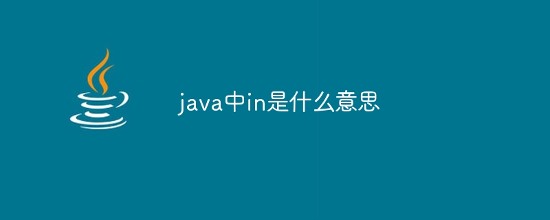 Was bedeutet „in' in Java?