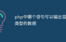 php中哪个语句可以输出变量类型的数据