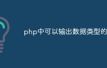 php中可以输出数据类型的是