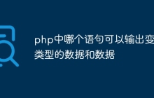 php中哪个语句可以输出变量类型的数据和数据