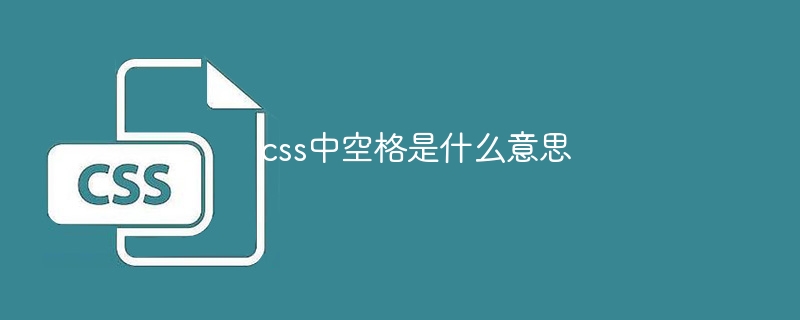 CSS에서 공간은 무엇을 의미합니까?