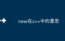 new在c++中的意思