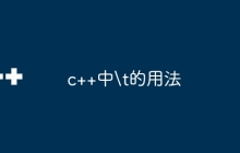 c++中\t的用法