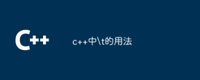 c++中\t的用法