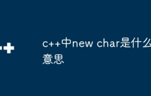 c++中new char是什么意思