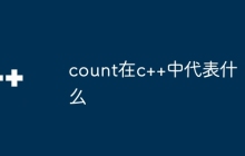 count在c++中代表什么