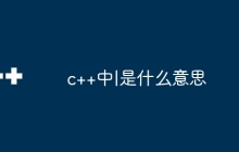 c++中|是什么意思