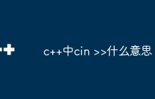 c++中cin >>什么意思