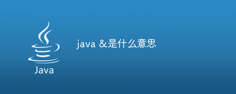 java &是什么意思