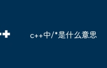 c++中/*是什么意思