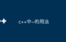 c++中~的用法