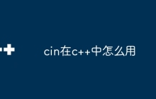 cin在c++中怎么用