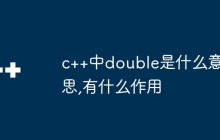 c++中double是什么意思,有什么作用