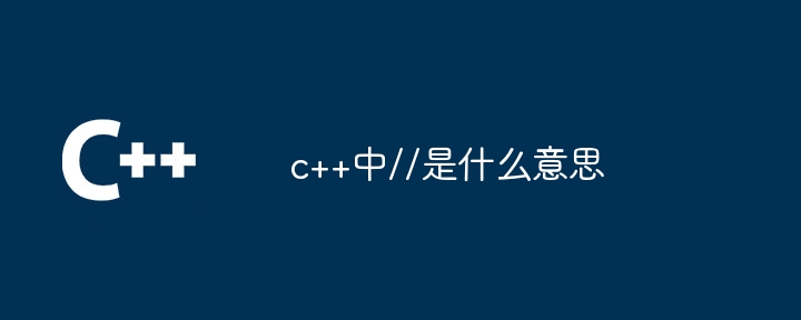 //는 C++에서 무엇을 의미하나요?