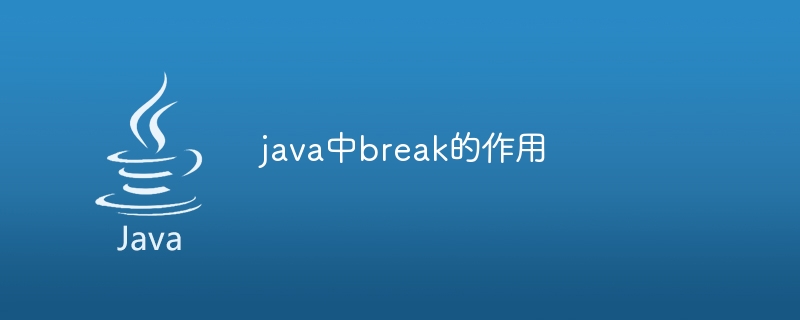 The role of break in java