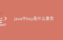 java中key是什么意思
