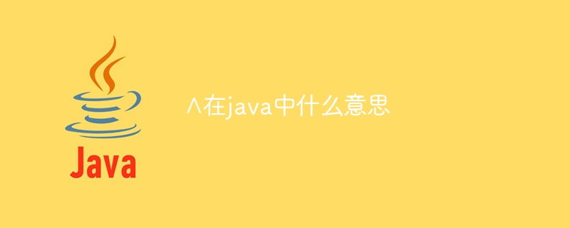 ∧What does it mean in java?