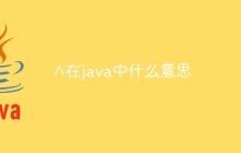 ∧在java中什么意思