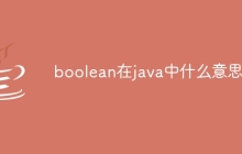 boolean在java中什么意思