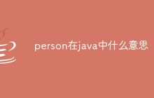 person在java中什么意思