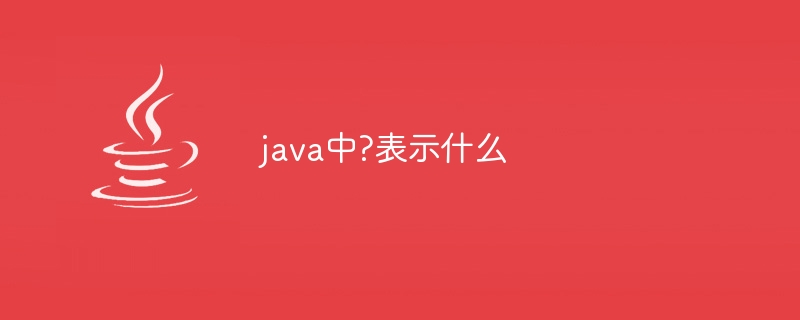 java中?表示什麼