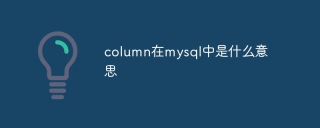 column在mysql中是什么意思