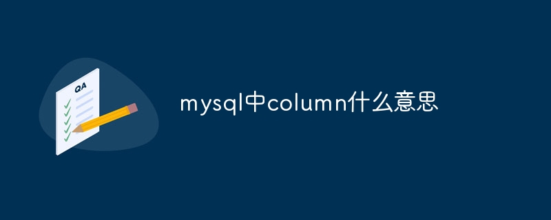 What does column mean in mysql?