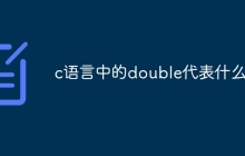 c语言中的double代表什么