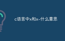 c语言中x和x-什么意思