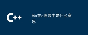 %x在c语言中是什么意思