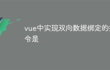 vue中实现双向数据绑定的指令是