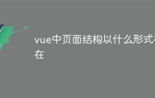 vue中页面结构以什么形式存在