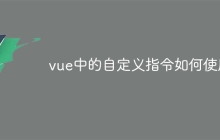vue中的自定义指令如何使用