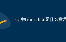 sql中from dual是什么意思