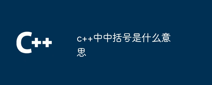 c++中括號是什麼意思