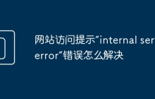 网站访问提示“internal server error”错误怎么解决