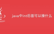 java中int后面可以接什么