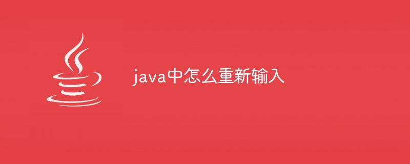 Comment ressaisir en Java