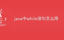 java中while语句怎么用