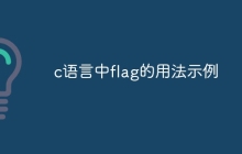 c语言中flag的用法示例