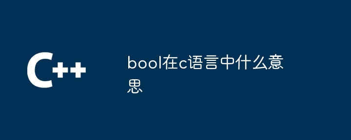 C 언어에서 bool은 무엇을 의미합니까?