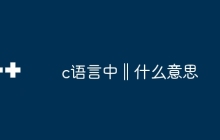 c语言中‖什么意思